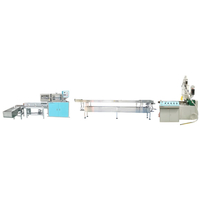 PLA Straw Extrusion Machine LG-E11(65) Economic Series