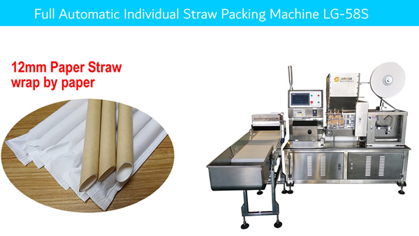 New arrival - Full Automatic Individual Straw Packing Machine LG-58S